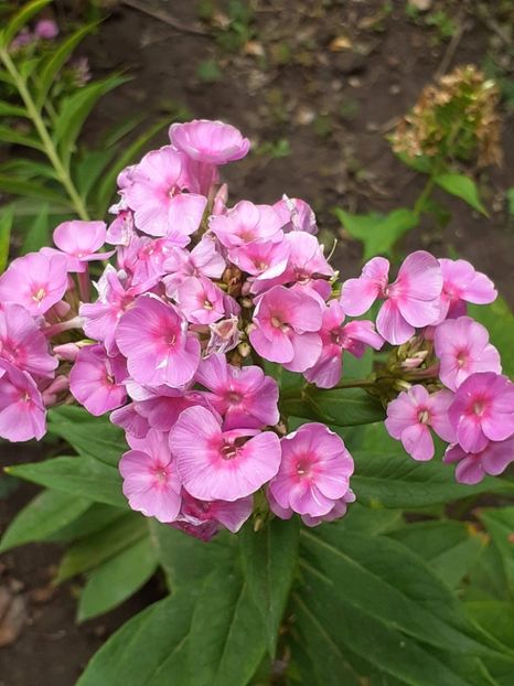 20230723_153616(0) - IULIE 2023