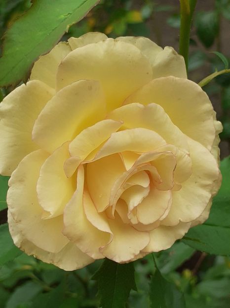 20230723_153655(0) - IULIE 2023