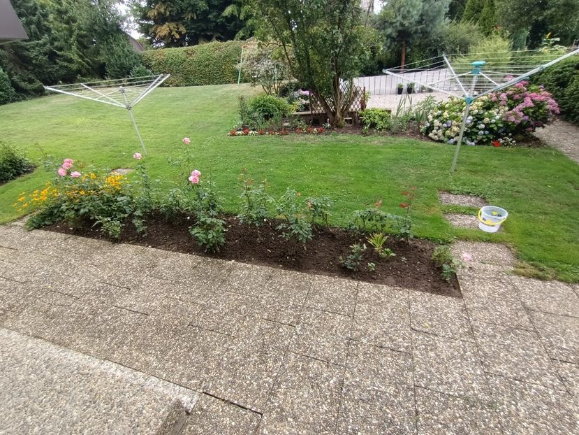 Img.2023.07.25 - Grădina mea