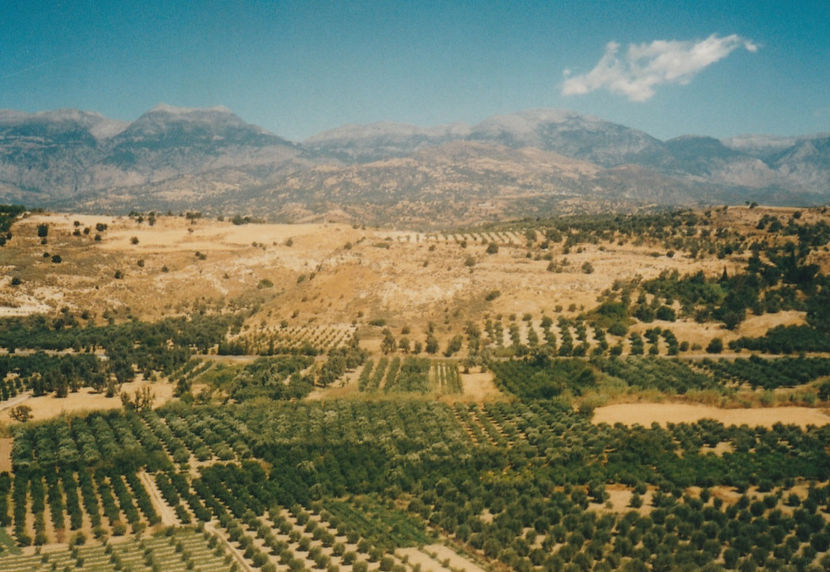 Platoul Lasithi - Creta