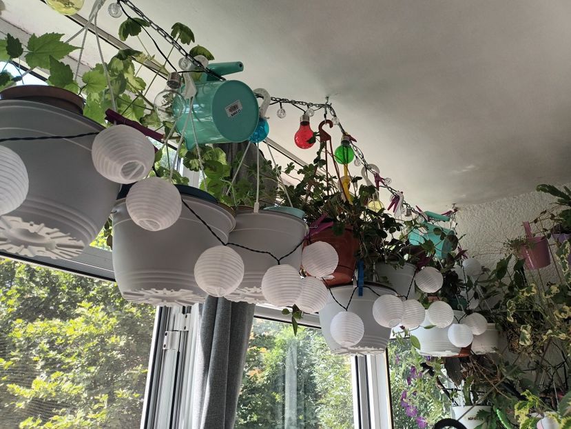 Ziua - Vara pe balcon