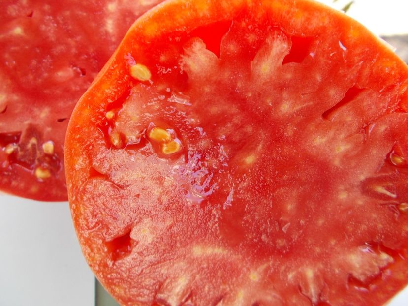  - SEMINTE ROSII - T 703 BISON HEART