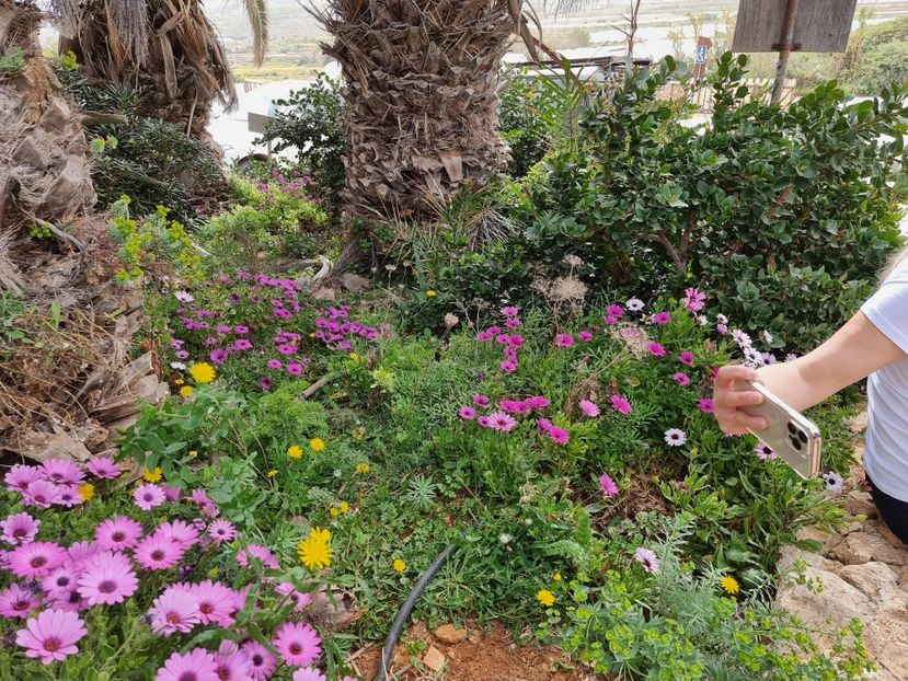  - MALTA Aprilie 2022