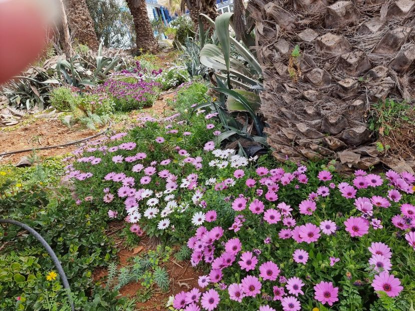  - MALTA Aprilie 2022