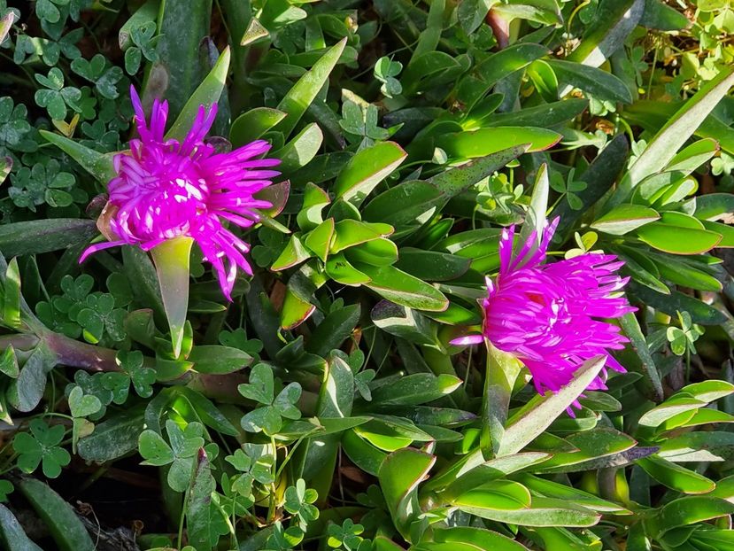  - MALTA Aprilie 2022