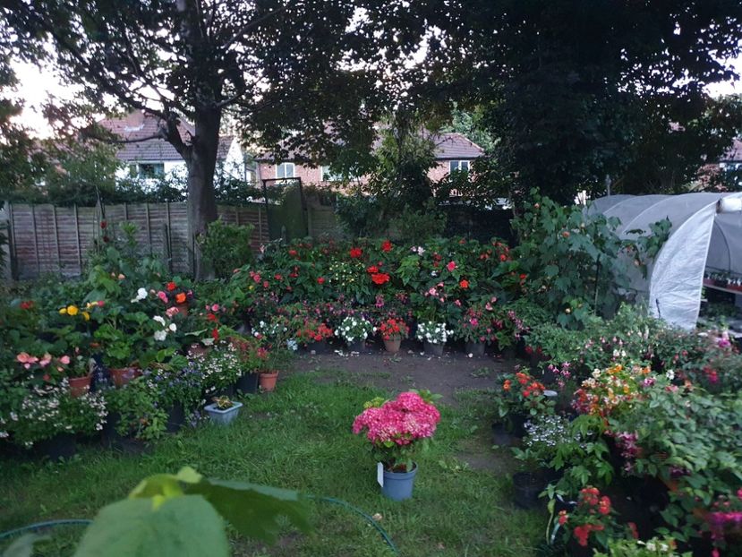  - 0 Gradina 2023