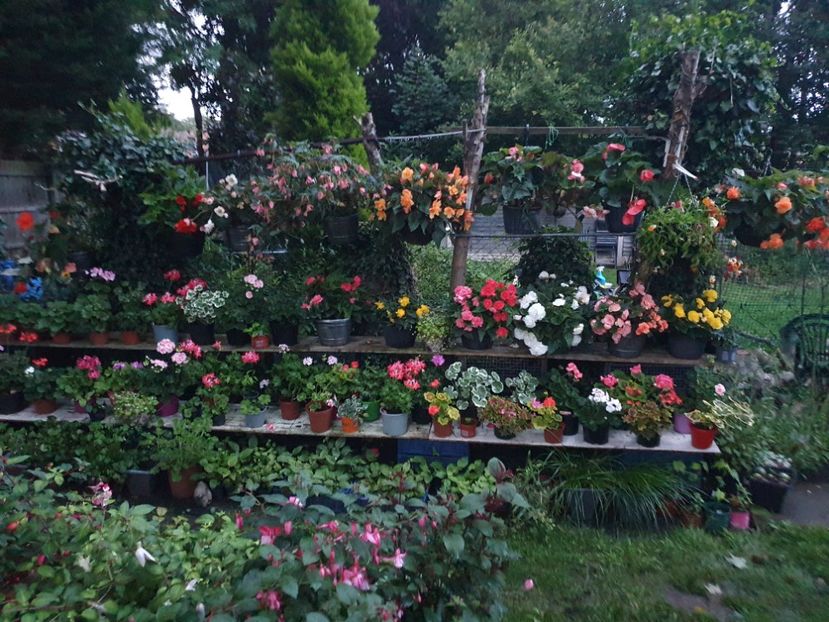  - 0 Gradina 2023