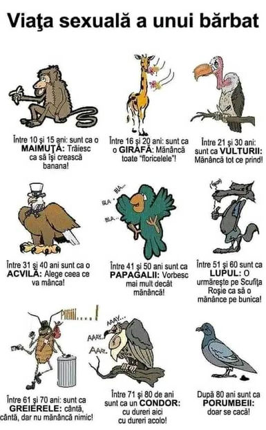  - Sfaturi Utile