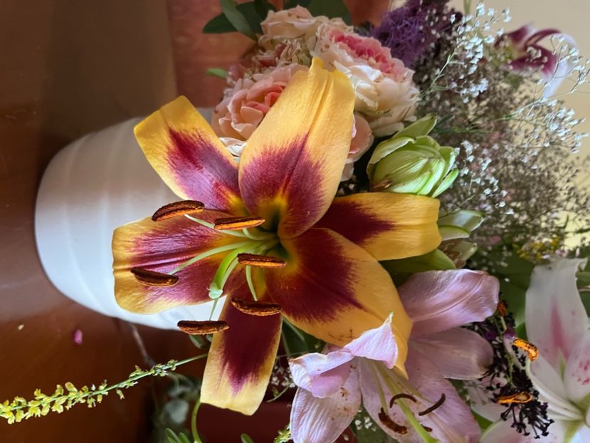 59F73DAC-1F39-4E6A-BAC8-D069A25EF945 - Crini 2016 2023