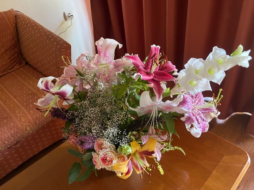 0C5712B9-44EE-42D1-B4FE-B950CC345052 - Crini 2016 2023