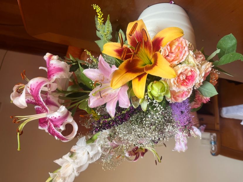 7B7D1553-AE7B-49F0-9922-928A371DD2AB - Crini 2016 2023