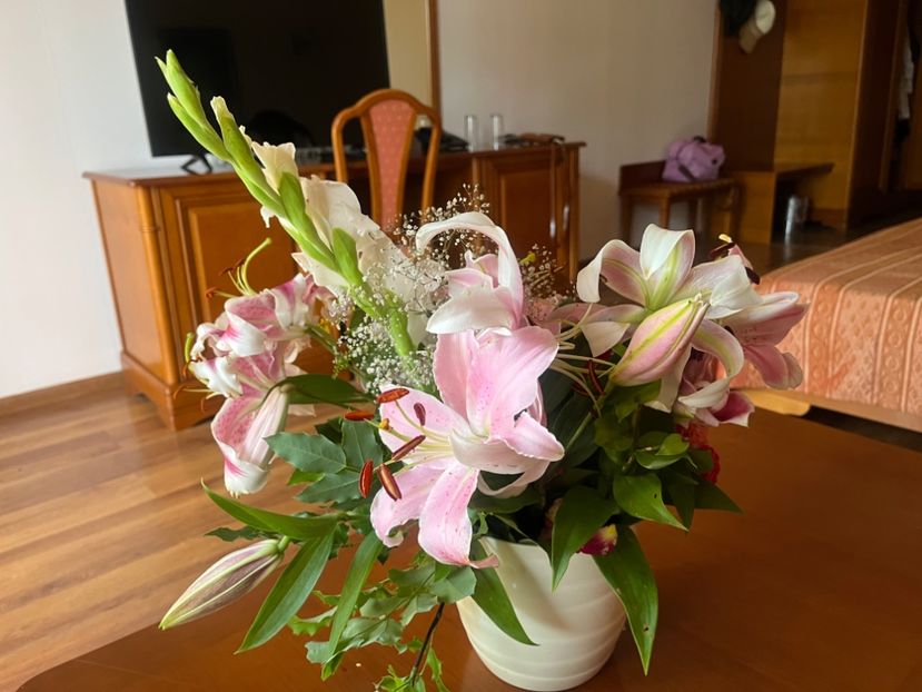 98660411-768E-4BF7-903F-C30D109904F4 - Crini 2016 2023