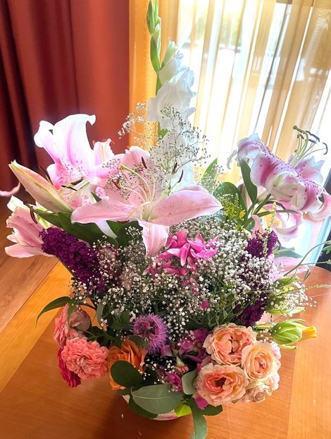 0A4F511A-7D35-48A4-83CA-6CE475EAACB2 - Crini 2016 2023