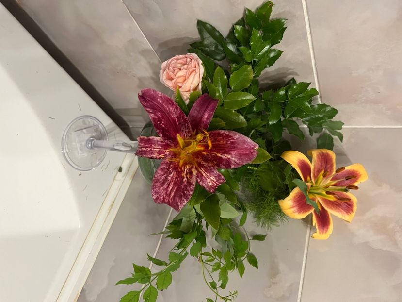 F5EAFE38-8975-4B48-817C-6F6C97DC566E - Crini 2016 2023