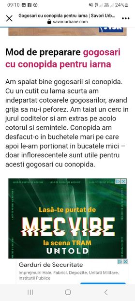 Screenshot_20230731_091048_Facebook - Gogosari umpluti cu conopida la borcan pentru iarna