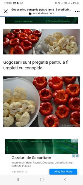 Screenshot_20230731_091053_Facebook - Gogosari umpluti cu conopida la borcan pentru iarna