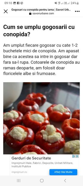 Screenshot_20230731_091058_Facebook - Gogosari umpluti cu conopida la borcan pentru iarna