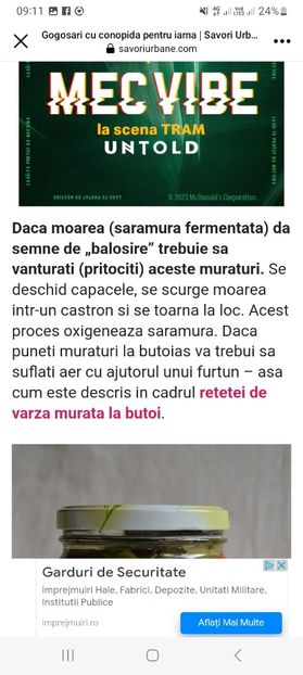 Screenshot_20230731_091132_Facebook - Gogosari umpluti cu conopida la borcan pentru iarna