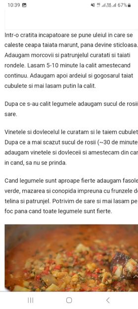 Screenshot_20230731_103937_Chrome - Ghiveci de legume - tocana de legume la borcan pentru iarna