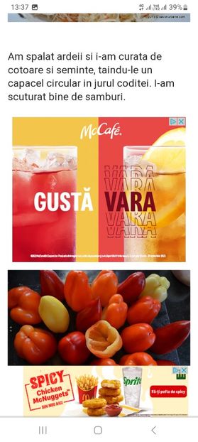 Screenshot_20230731_133725_Chrome - Ardei umpluti cu varza la borcan pentru iarna