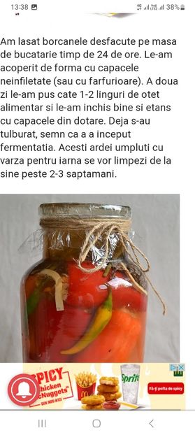 Screenshot_20230731_133803_Chrome - Ardei umpluti cu varza la borcan pentru iarna
