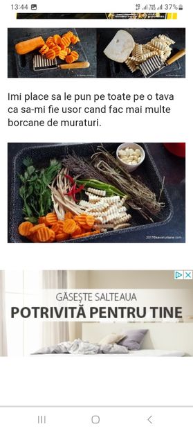 Screenshot_20230731_134422_Chrome - Gogonele murate la borcan pentru iarna