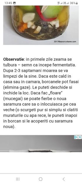 Screenshot_20230731_134533_Chrome - Gogonele murate la borcan pentru iarna
