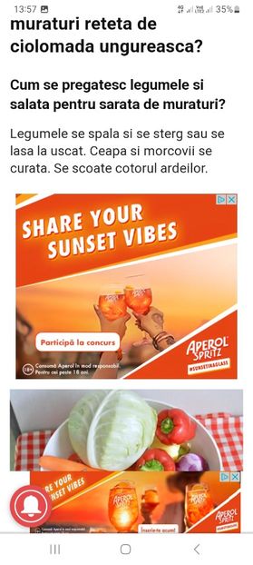 Screenshot_20230731_135755_Chrome - Ciolomada la borcan pentru iarna