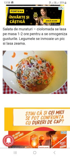 Screenshot_20230731_135818_Chrome - Ciolomada la borcan pentru iarna