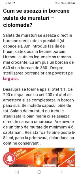 Screenshot_20230731_135827_Chrome - Ciolomada la borcan pentru iarna