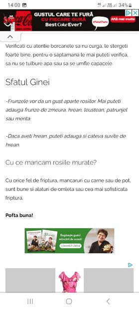 Screenshot_20230731_140058_Chrome - Rosii murate la borcan pentru iarna