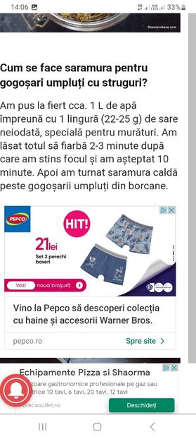Screenshot_20230731_140616_Chrome - Gogosari umpluti cu struguri la borcan pentru iarna