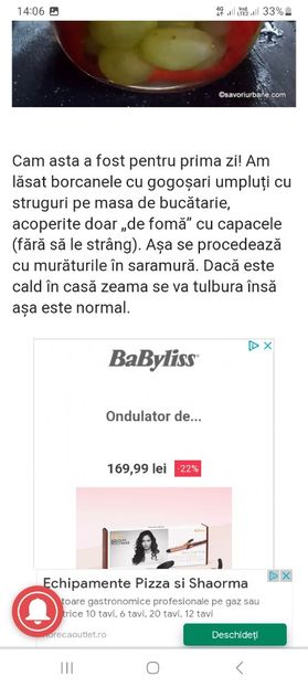 Screenshot_20230731_140628_Chrome - Gogosari umpluti cu struguri la borcan pentru iarna