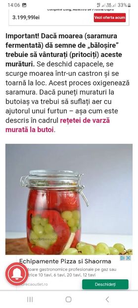 Screenshot_20230731_140639_Chrome - Gogosari umpluti cu struguri la borcan pentru iarna
