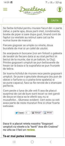 Screenshot_20230731_140943_Chrome - Gogosari umpluti cu vinete la borcan pentru iarna