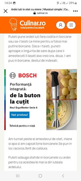 Screenshot_20230731_142449_Facebook - Ardei iuti in otet cu miere la borcan pentru iarna