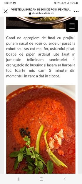 Screenshot_20230801_085240_Facebook - Vinete in sos de rosii la borcan pentru iarna