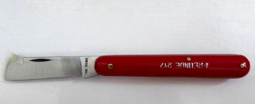 P1170259 - Briceag altoire FREUNDE 217