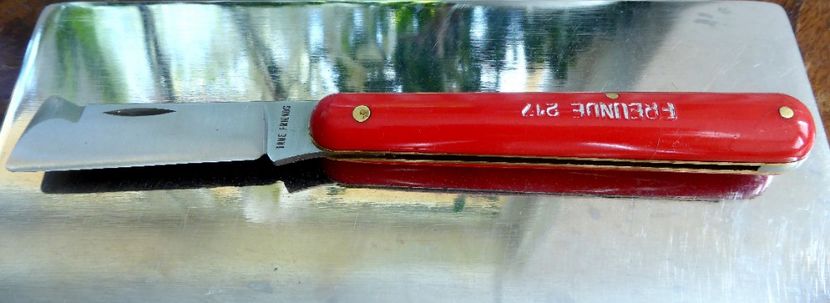 P1170270 - Briceag altoire FREUNDE 217