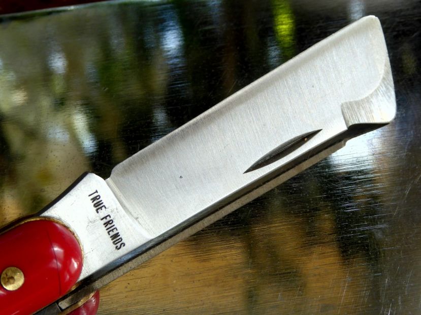 P1170276 - Briceag altoire FREUNDE 217