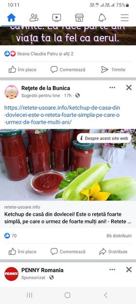 Screenshot_20230802_101146_Facebook - Ketchup din dovlecei pentru iarna