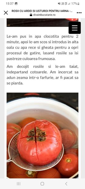 Screenshot_20230802_153737_Facebook - Rosii cu ardei si usturoi la borcan pentru iarna