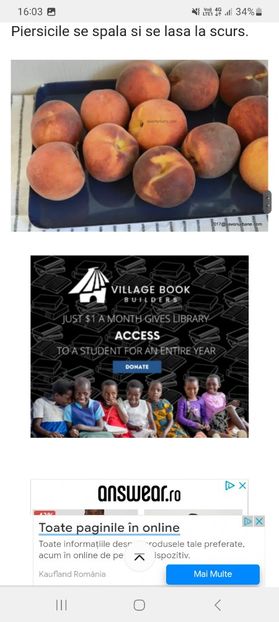 Screenshot_20230802_160329_Samsung Internet - Compot de piersici 1