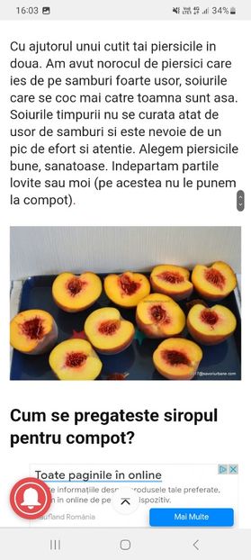 Screenshot_20230802_160335_Samsung Internet - Compot de piersici 1