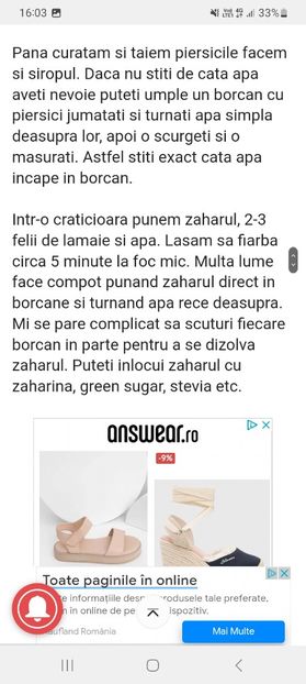 Screenshot_20230802_160338_Samsung Internet - Compot de piersici 1