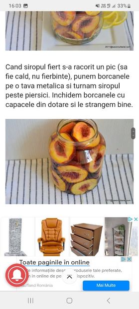 Screenshot_20230802_160345_Samsung Internet - Compot de piersici 1