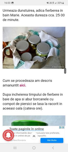 Screenshot_20230802_160351_Samsung Internet - Compot de piersici 1