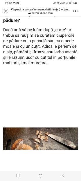 Screenshot_20230802_191219_Facebook - Ciuperci in saramura la borcan pentru iarna
