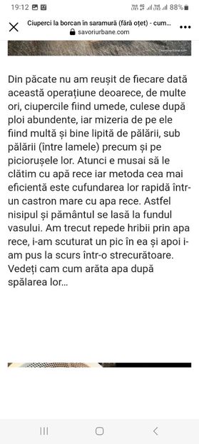 Screenshot_20230802_191223_Facebook - Ciuperci in saramura la borcan pentru iarna