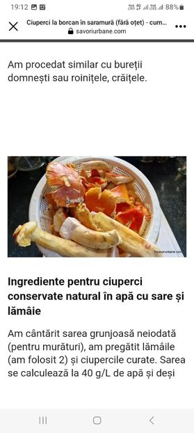 Screenshot_20230802_191231_Facebook - Ciuperci in saramura la borcan pentru iarna
